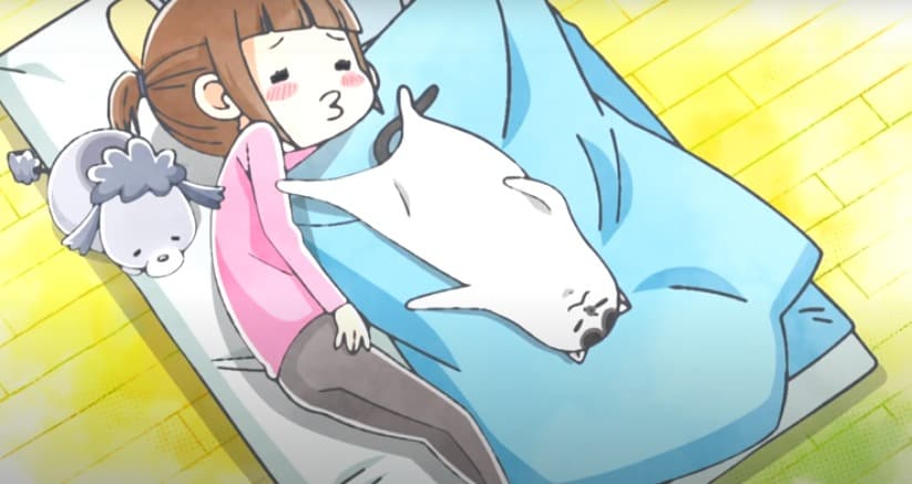 犬と猫②